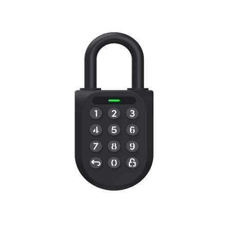 Padlock Plus
